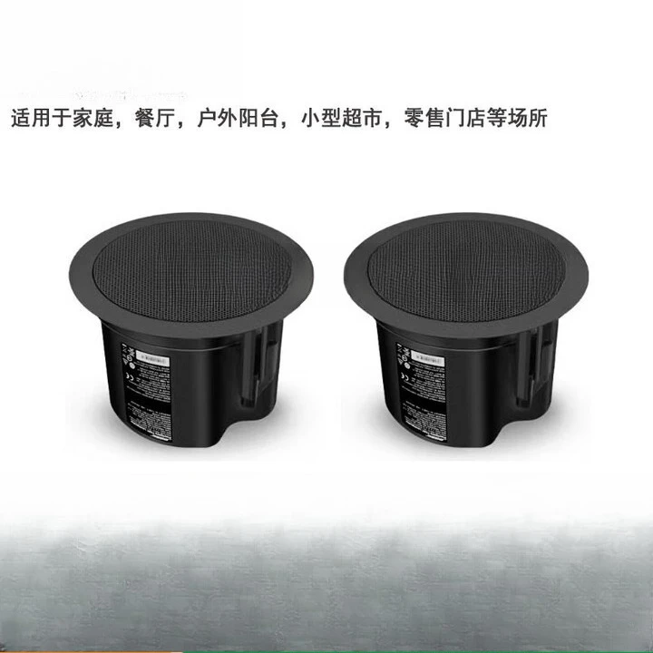 천장 오디오, 고정 압력 배경음악, 오디오, 천장 벽걸 - Audio Music Store 리뷰 및 가격