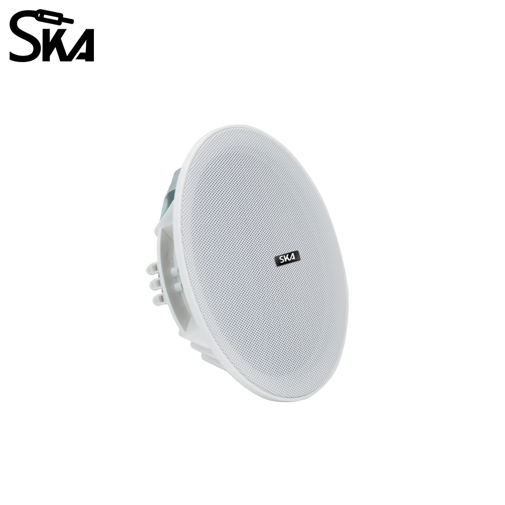 6.5인치 20W, 8Ω듀얼 콘 스피커 92dB±3dB - Audio Music Store 리뷰 및 가격