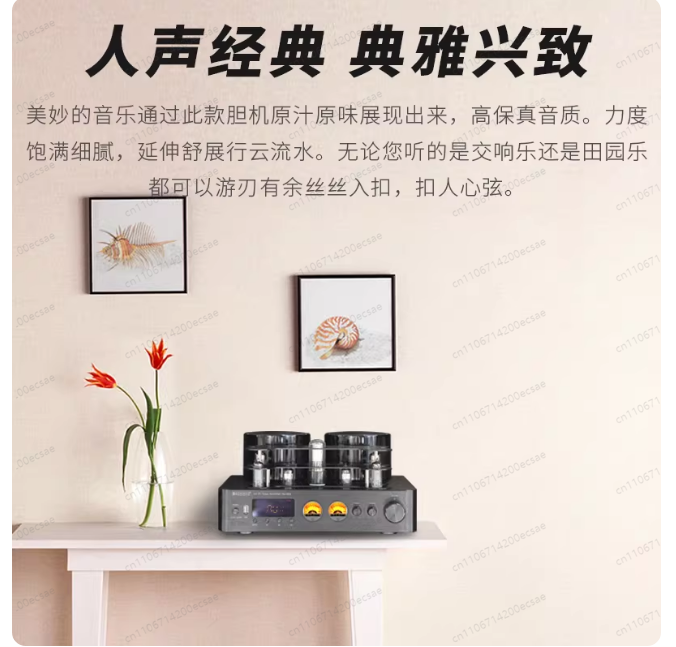 220V 400W * 2 고음질 무선 진공관 파워 앰프 - Audio Youtube Music Free 리뷰 및 가격