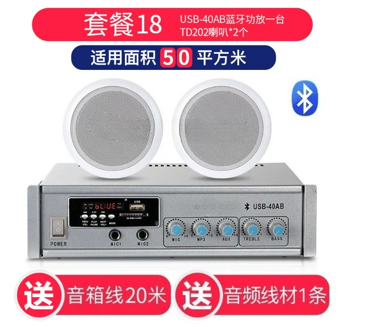 TD202 천장 스피커 천장 오디오 매장 스피커 블루투 - Audio Music Store 리뷰 및 가격