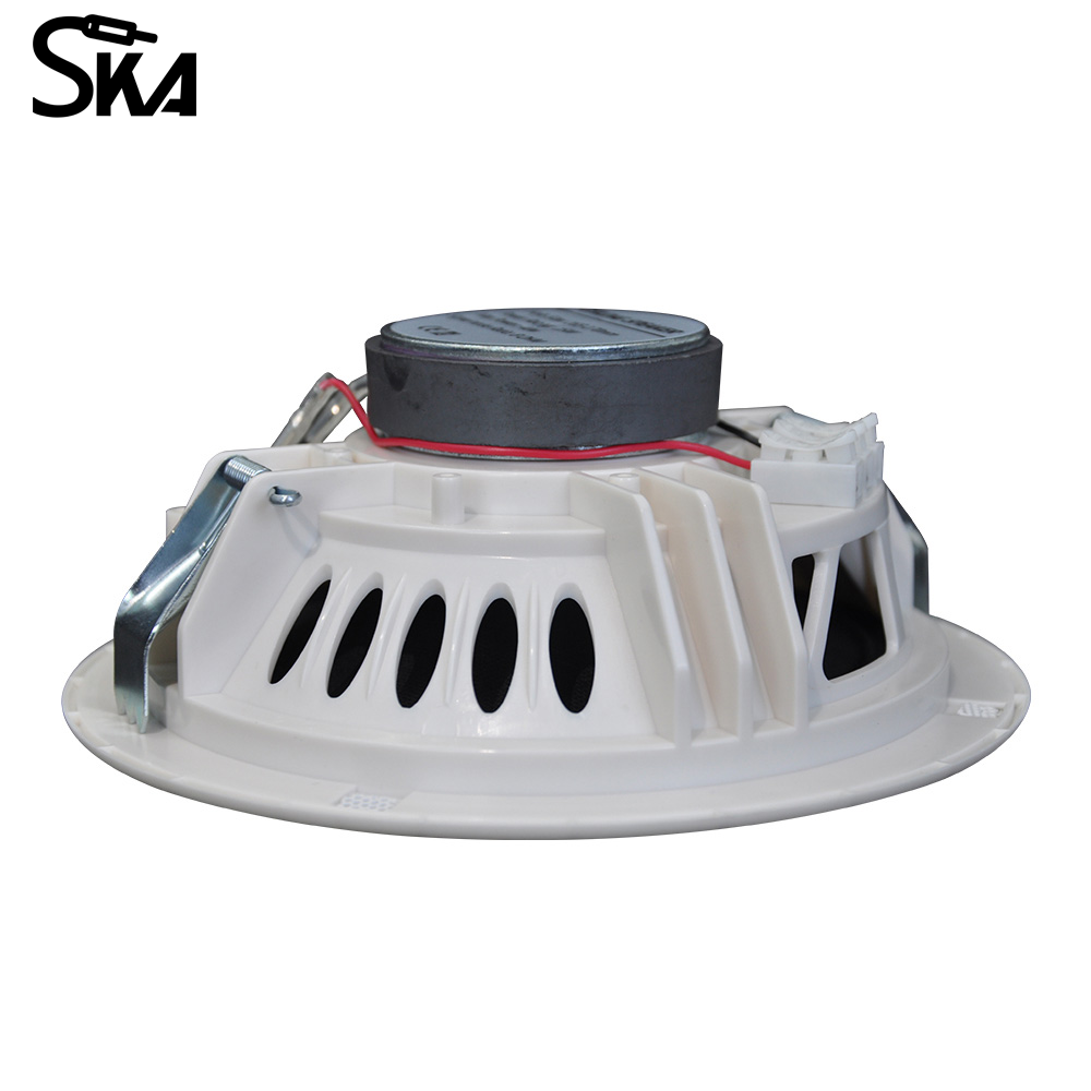 6.5인치 12W 8Ω 듀얼 콘 스피커 92dB±3dB - Audio Music Store 리뷰 및 가격